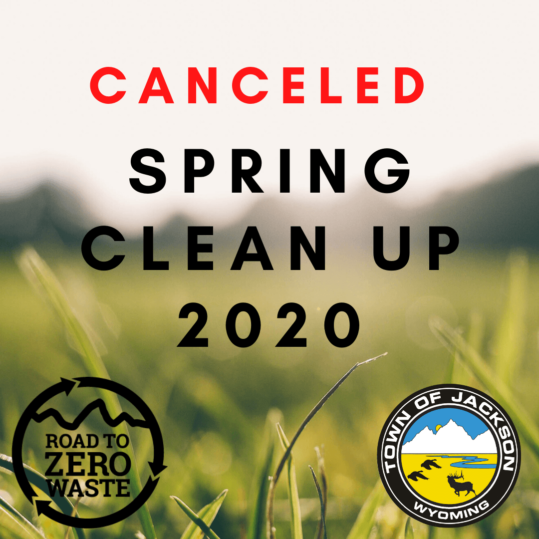 Spring Clean Up 2020 (1)