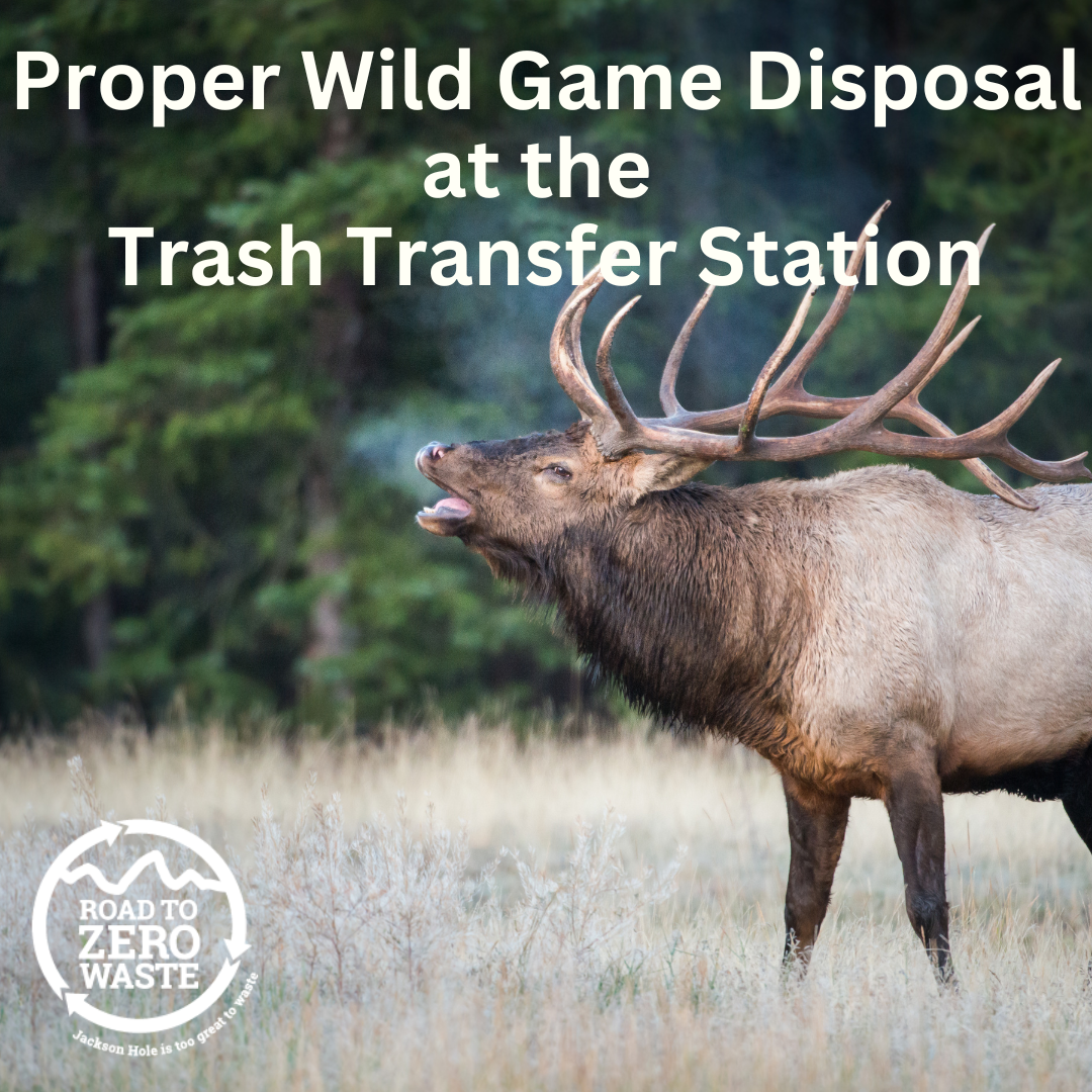 Proper Wild Game Disposal