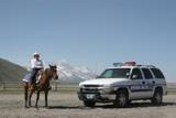 Horse Next to Police Cruiser