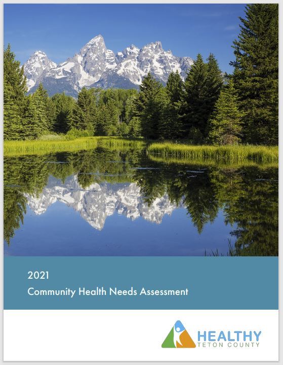 Cover Image of 2021 CHNA Report  Opens in new window